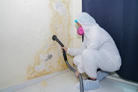 Best Residential Mold Inspection & Testing  in Lakewood, CA